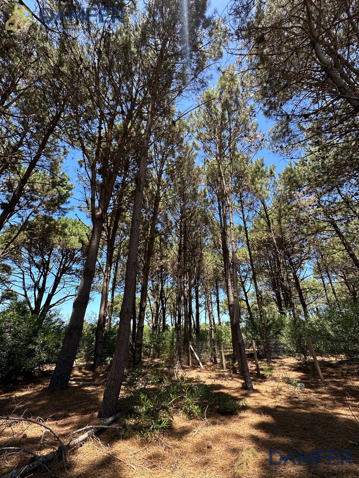 Casa – Pinar del Faro